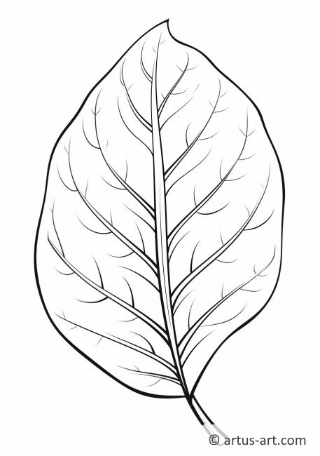 Persimonenblatt Herbst Ausmalbild